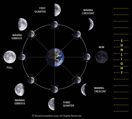 You are currently viewing New Moon March 6th at 0’ Pisces