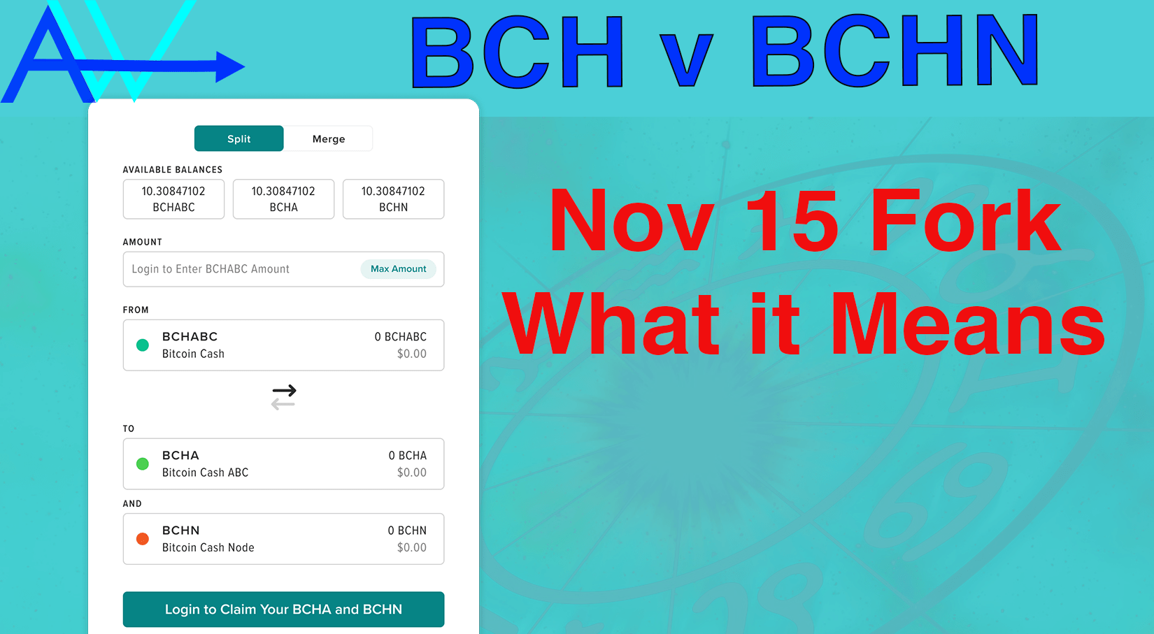 BCH V BCHN - The Fork