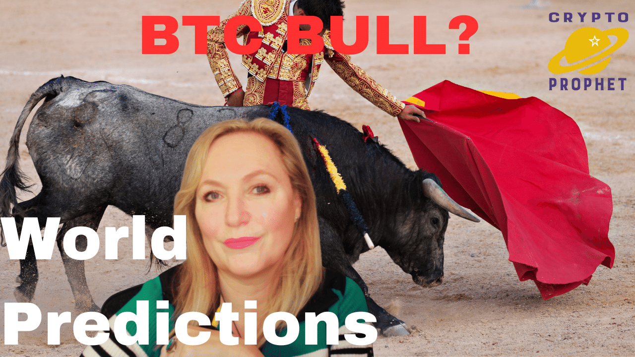 BTC Bull? Bull trap or Bull fight?